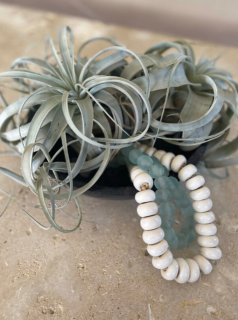 Screen Shot 2022-03-28 at 10.22.37 AM